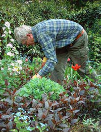 Gardener B&b Bed And Breakfast Garden